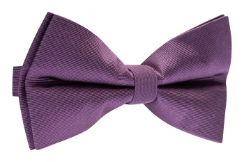 Bow tie purple plain