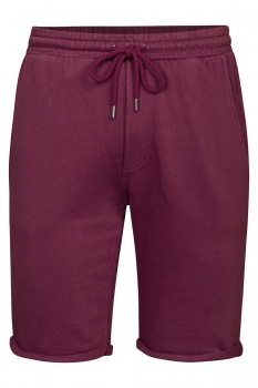 Slim body burgundy plain trousers
